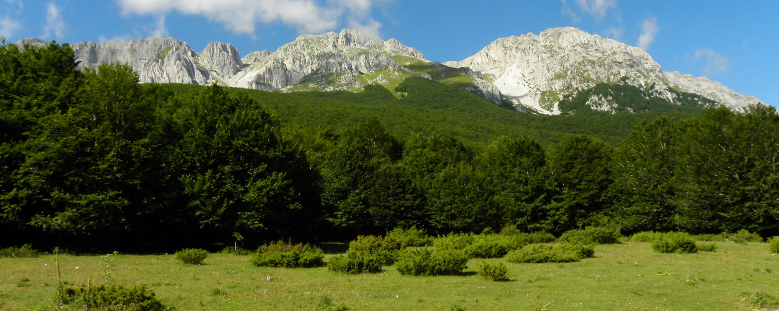 APNEC Abruzzo