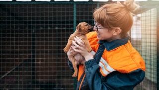 Adozione responsabile cane