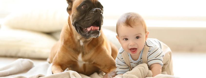 Bambini e pelosi - Benefici, consigli e precauzioni per convivenze sane e sicure
