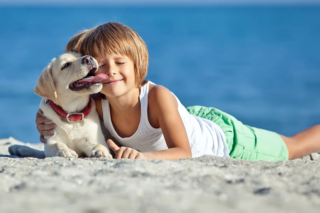 Cuccioli e bimbi una convivenza felice
