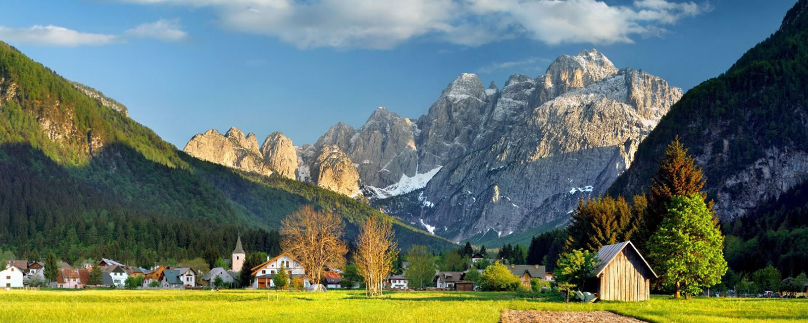 APNEC Friuli Venezia Giulia
