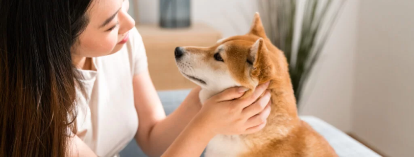 Donna con shiba inu