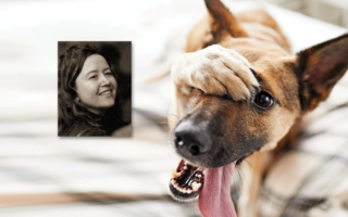 Le emozioni del cane - di Daniela Borgo copia