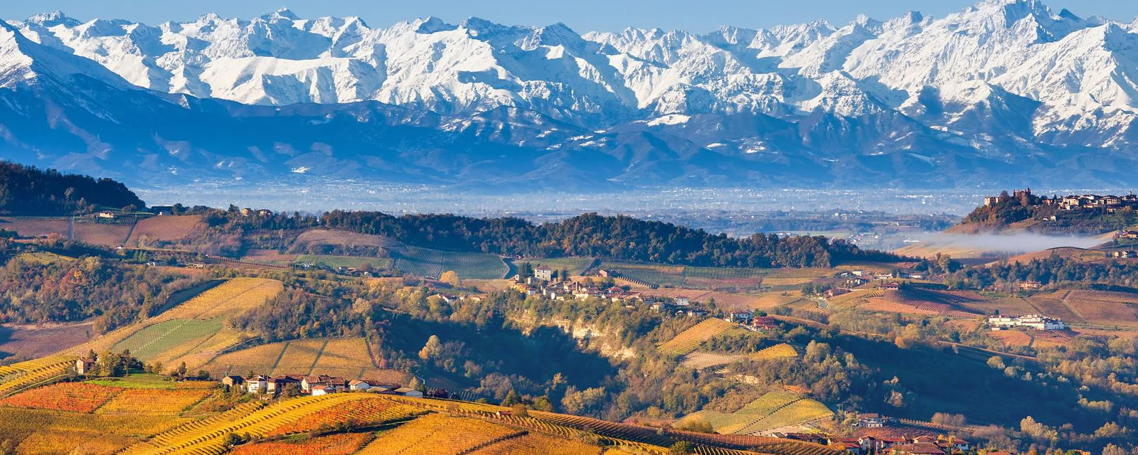 APNEC Piemonte
