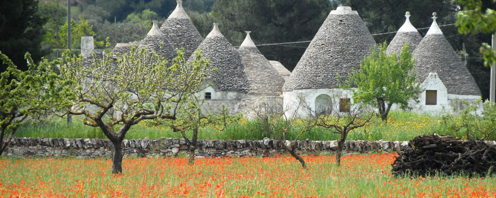 APNEC Puglia