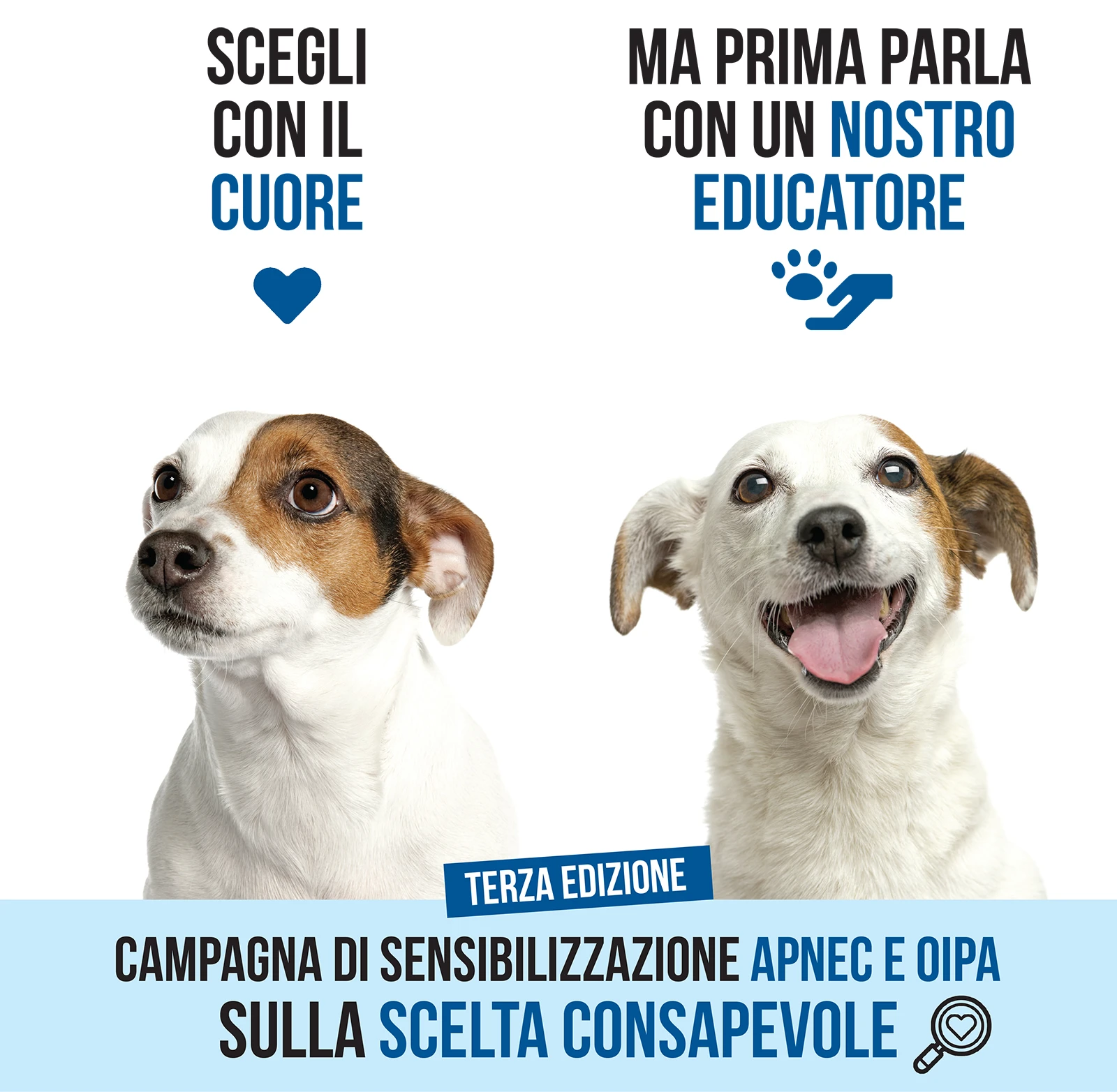 Scegli con il cuore ma prima parla con un nostro educatore